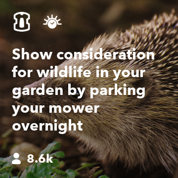 Show consideration for wildlife in your garden by parking your mower overnight